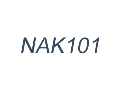 NAK101_日本大同NAK101_超高耐腐蝕預硬鋼_NAK101物理性能